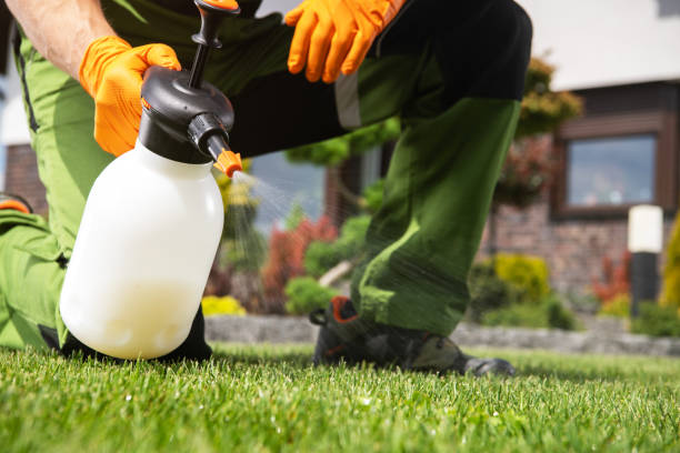 Best Best Pest Control Companies  in Pioneer Village, KY