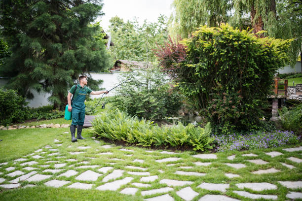 Best Ant Control Services  in Pioneer Village, KY