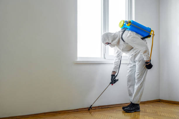 Best Mosquito Control Services  in Pioneer Village, KY