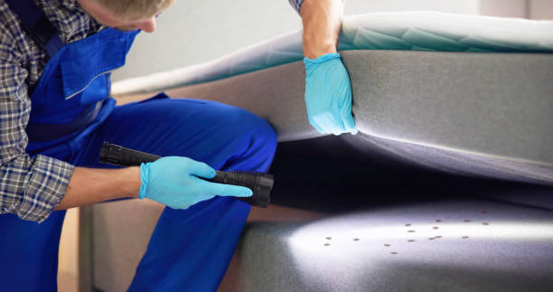 Trusted Pioneer Village, KY Pest Control Experts