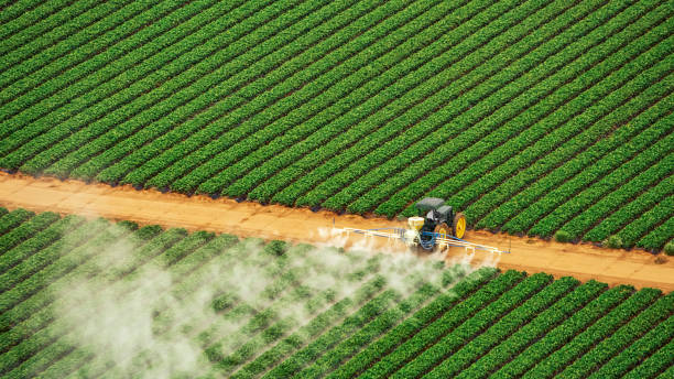 Best Pest Removal Services  in Pioneer Village, KY