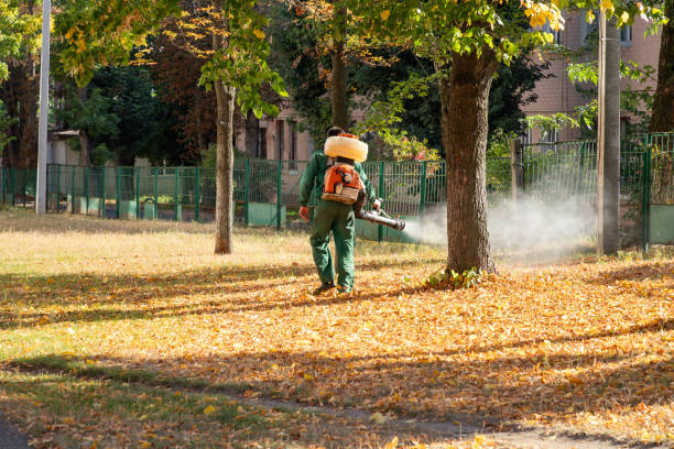 Best Best Pest Control Companies  in Pioneer Village, KY