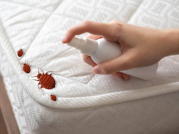 Pest Control Cost in Pioneer Village, KY
