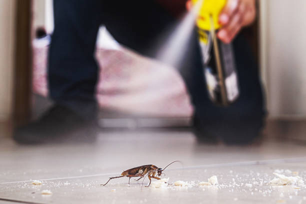 Best Local Pest Control Services  in Pioneer Village, KY