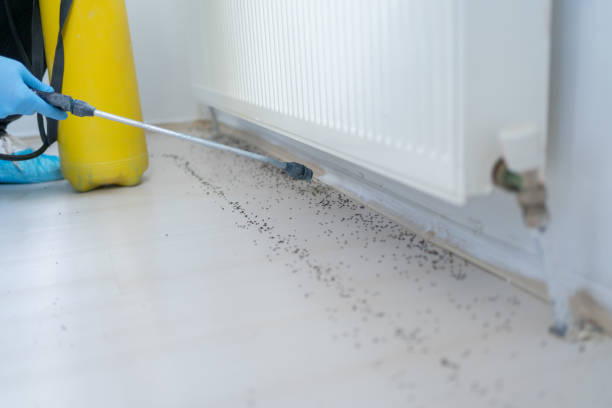 Pest Prevention Services in Pioneer Village, KY