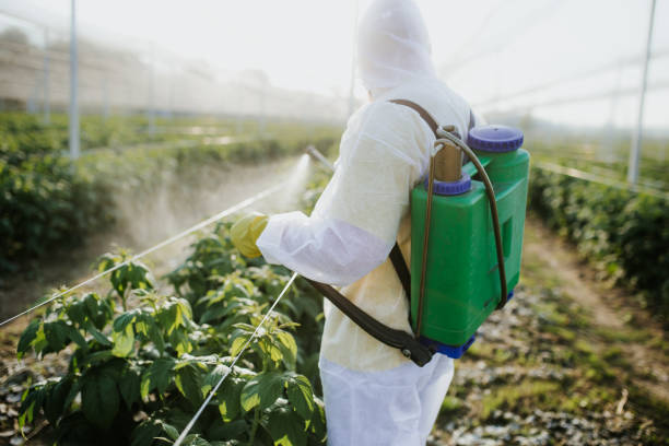 Best Wasp Removal Services  in Pioneer Village, KY